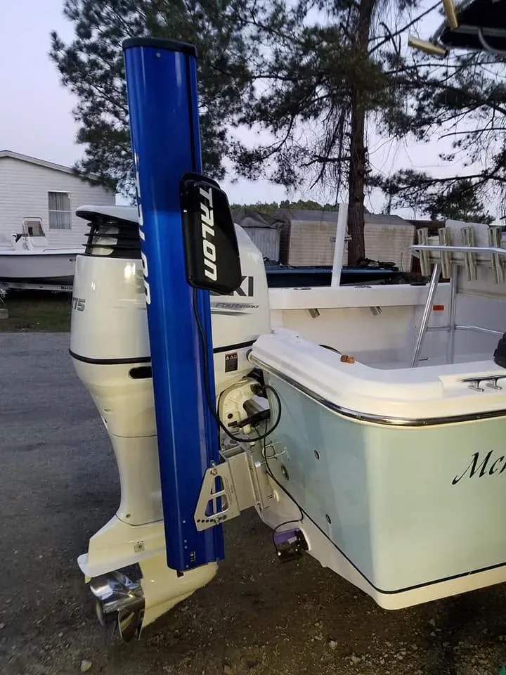 Outboard with a blue cowl